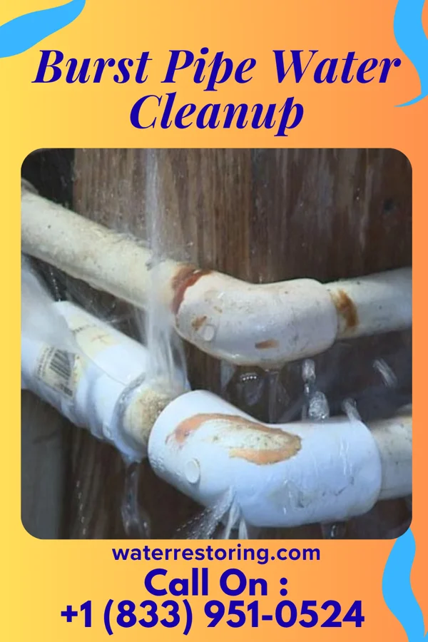 Burst Pipe Water Cleanup in St. Charles, KY