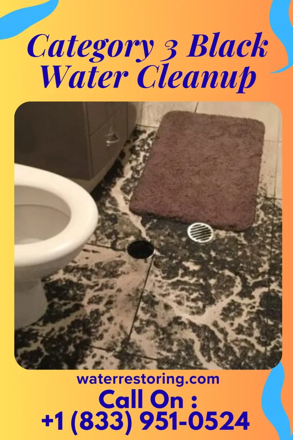 Category 3 Black Water Cleanup in St. Charles, KY