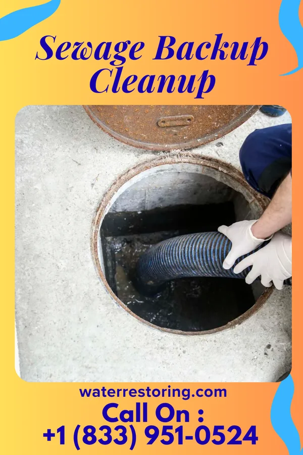 Sewage Backup Cleanup in St. Charles, KY